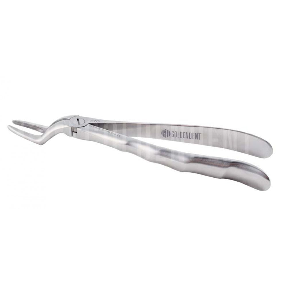 Physics Forceps Tooth Delivery Extraction Instrument - GoldenDent - GoldenDent